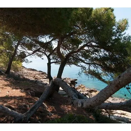 A Distinctive Holiday With Panoramic View In Selca Brac * Sumartin